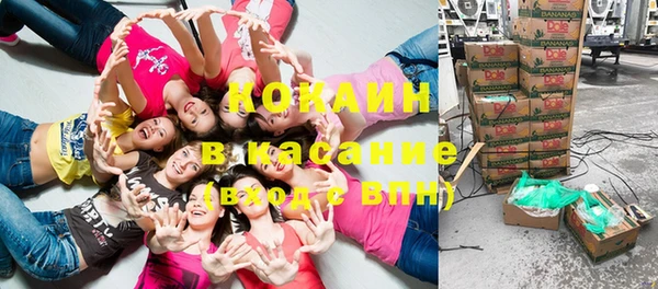 шишки Арсеньев