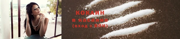 шишки Арсеньев