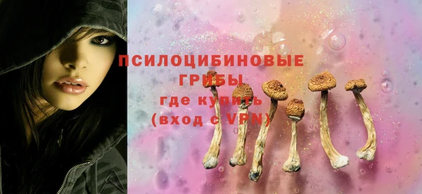 крисы Семикаракорск