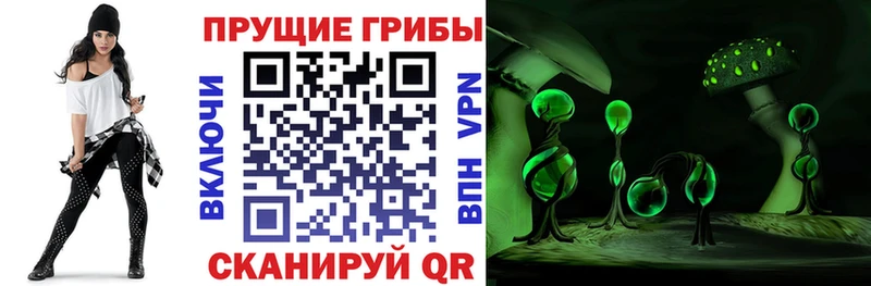Псилоцибиновые грибы мицелий  Можга 