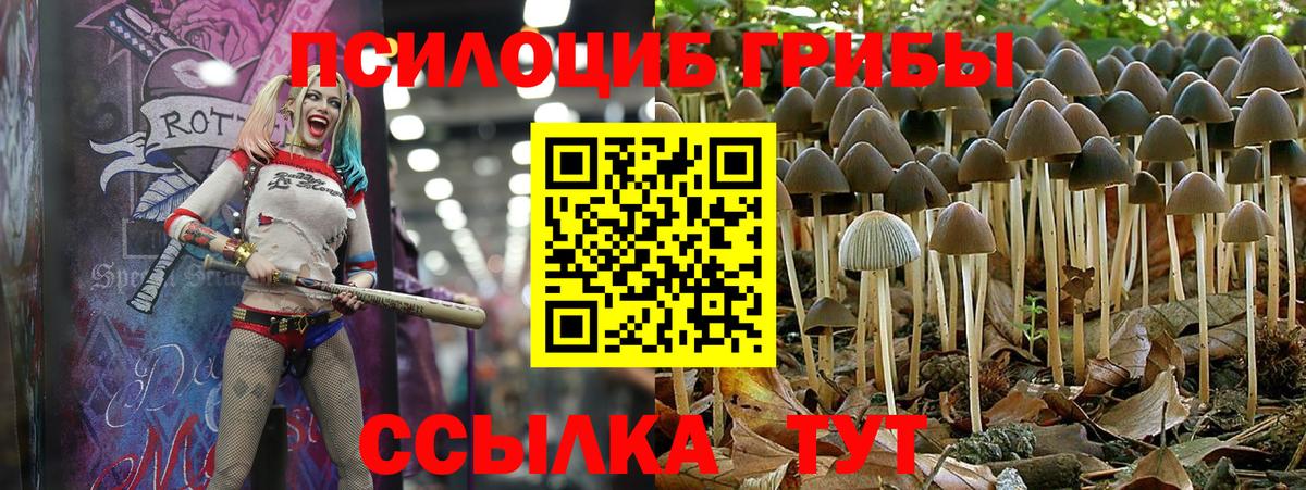 Галлюциногенные грибы Magic Shrooms Можга